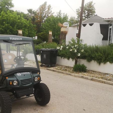 A Casa Do Mestre Lau - No Coracao Do Alentejo 特雷纳 外观 照片