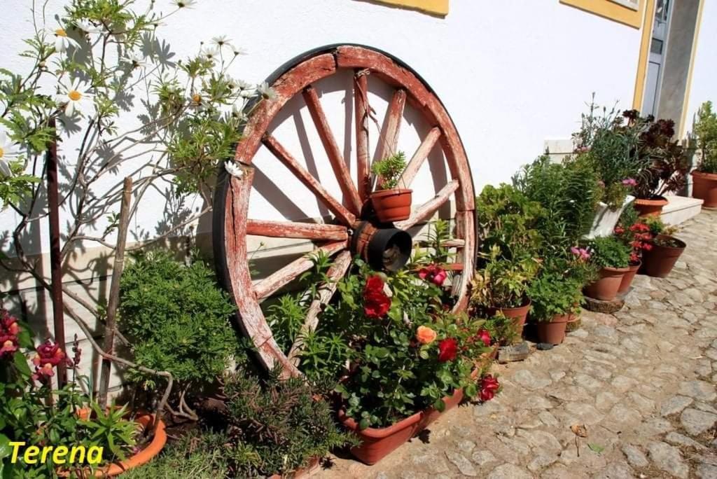 A Casa Do Mestre Lau - No Coracao Do Alentejo 特雷纳 外观 照片