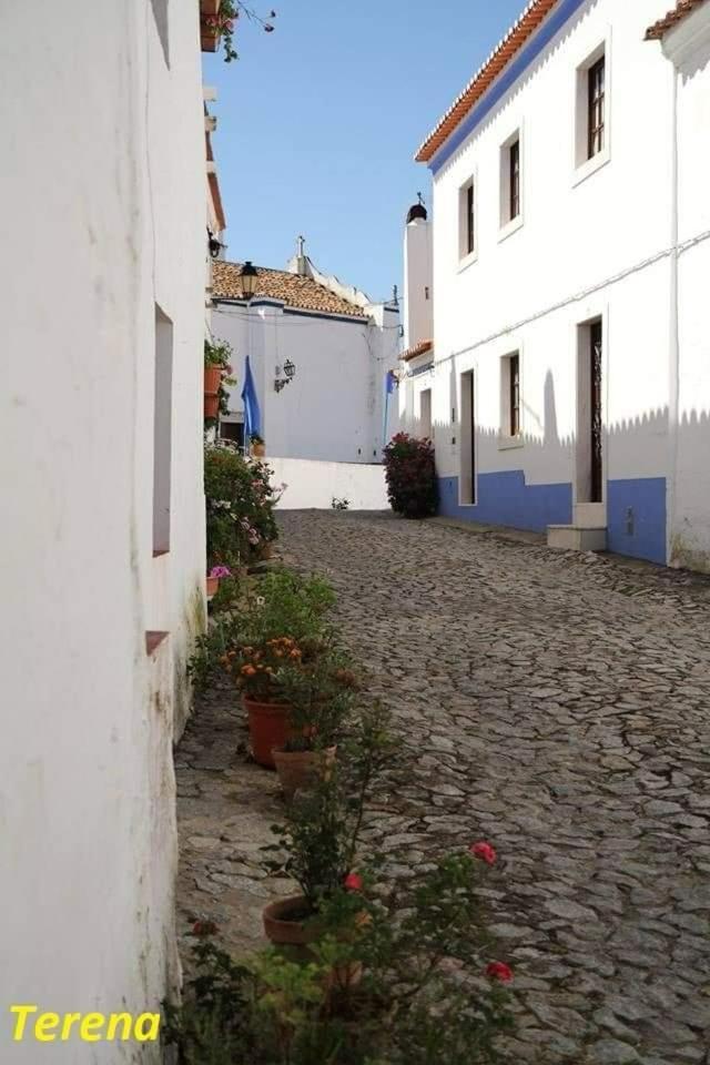 A Casa Do Mestre Lau - No Coracao Do Alentejo 特雷纳 外观 照片