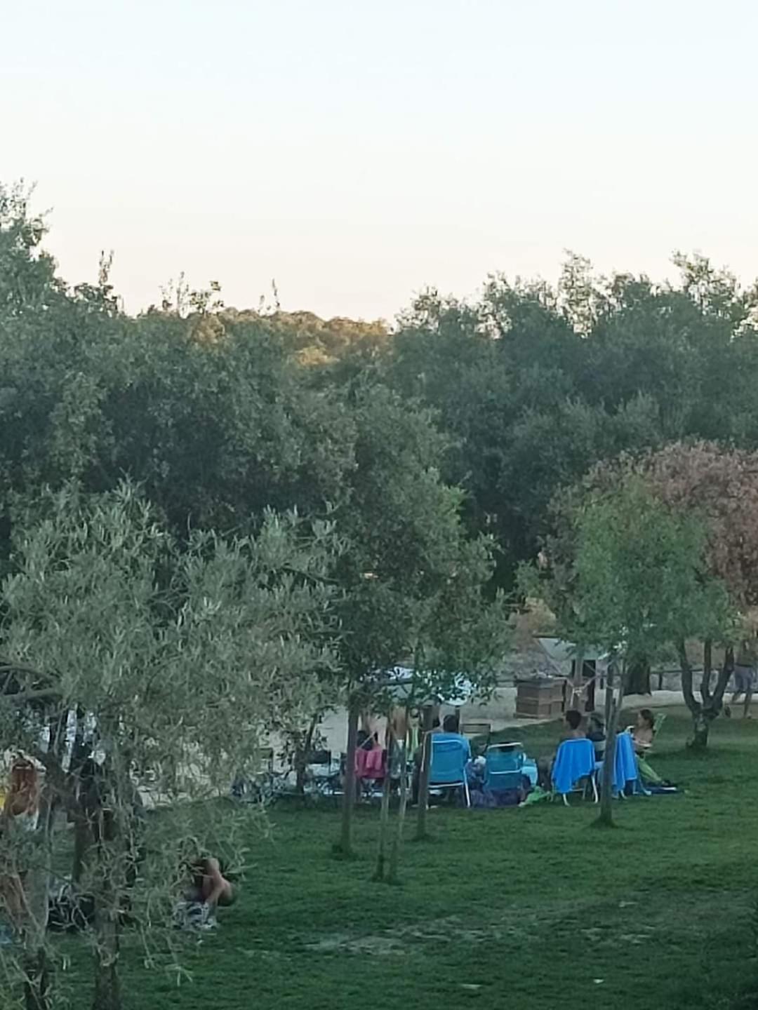 A Casa Do Mestre Lau - No Coracao Do Alentejo 特雷纳 外观 照片